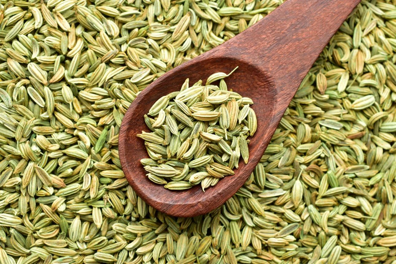 Saunf Big (Foeniculum vulgare) used in Gas Q